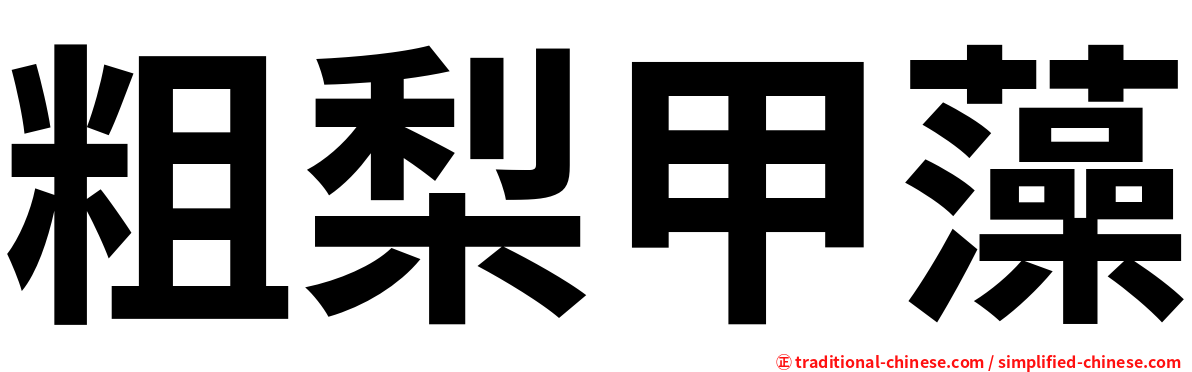 粗梨甲藻