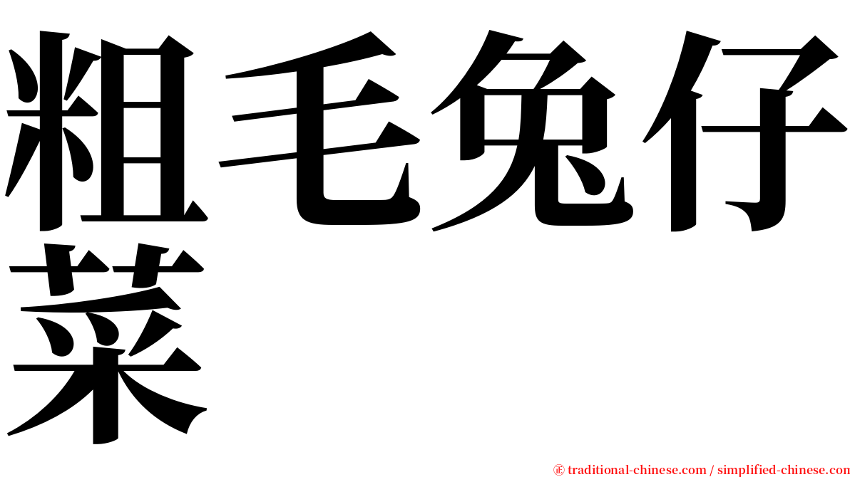 粗毛兔仔菜 serif font