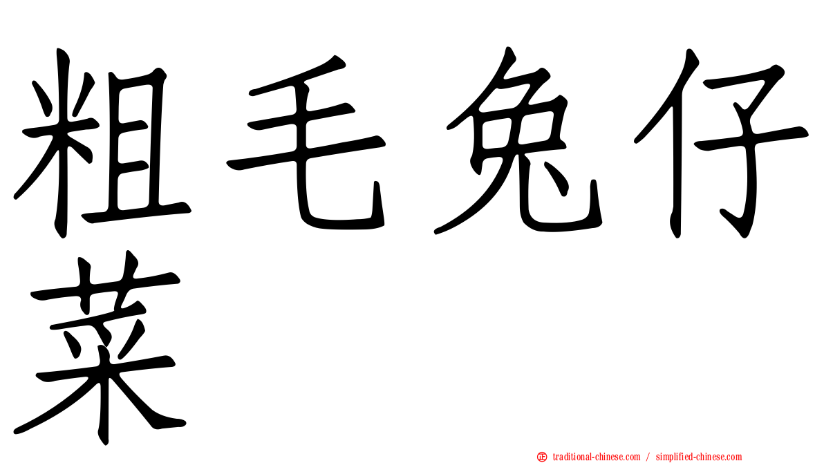 粗毛兔仔菜