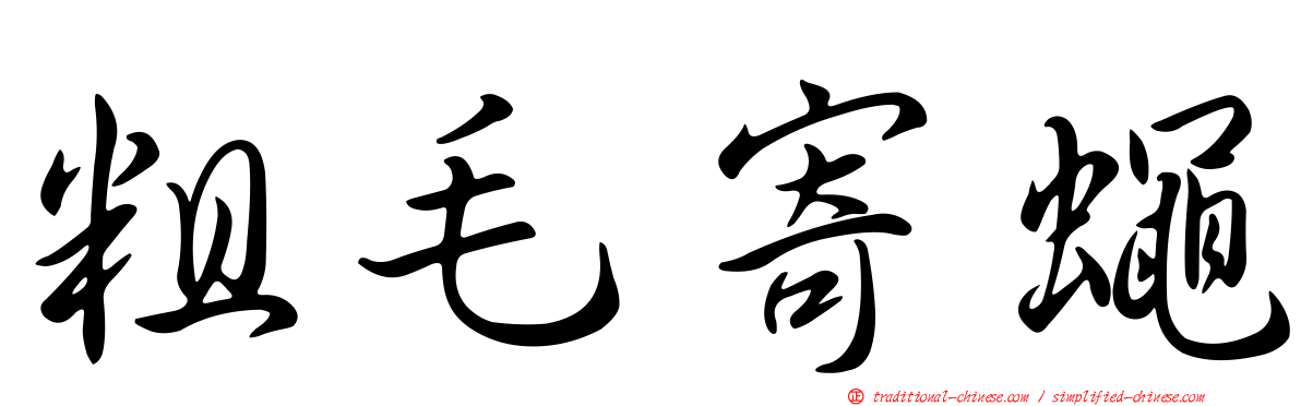 粗毛寄蠅