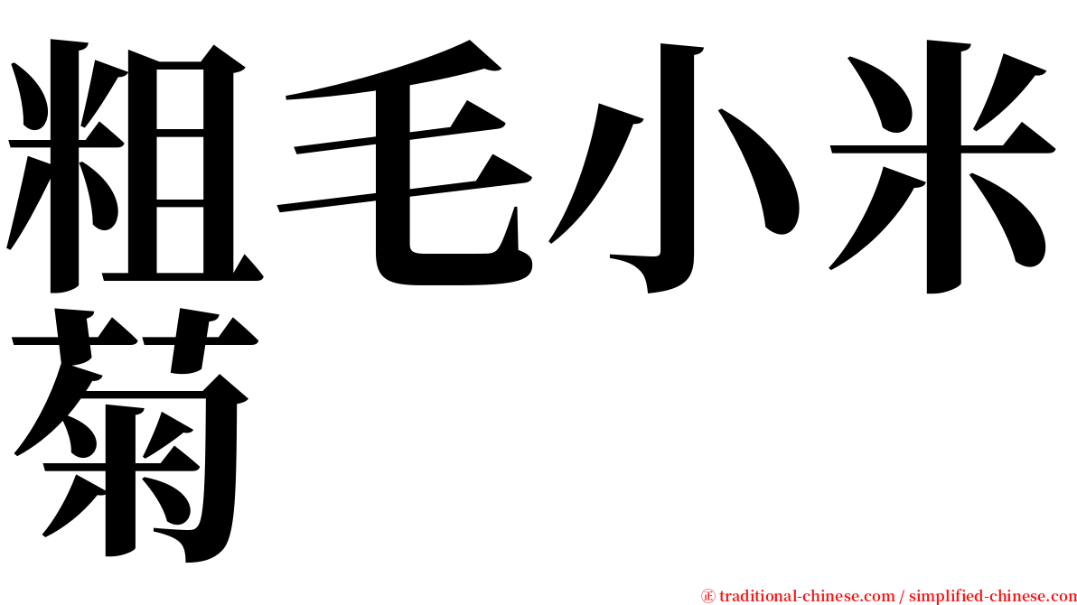粗毛小米菊 serif font