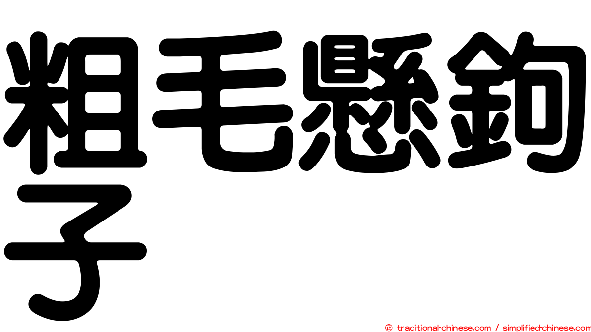 粗毛懸鉤子