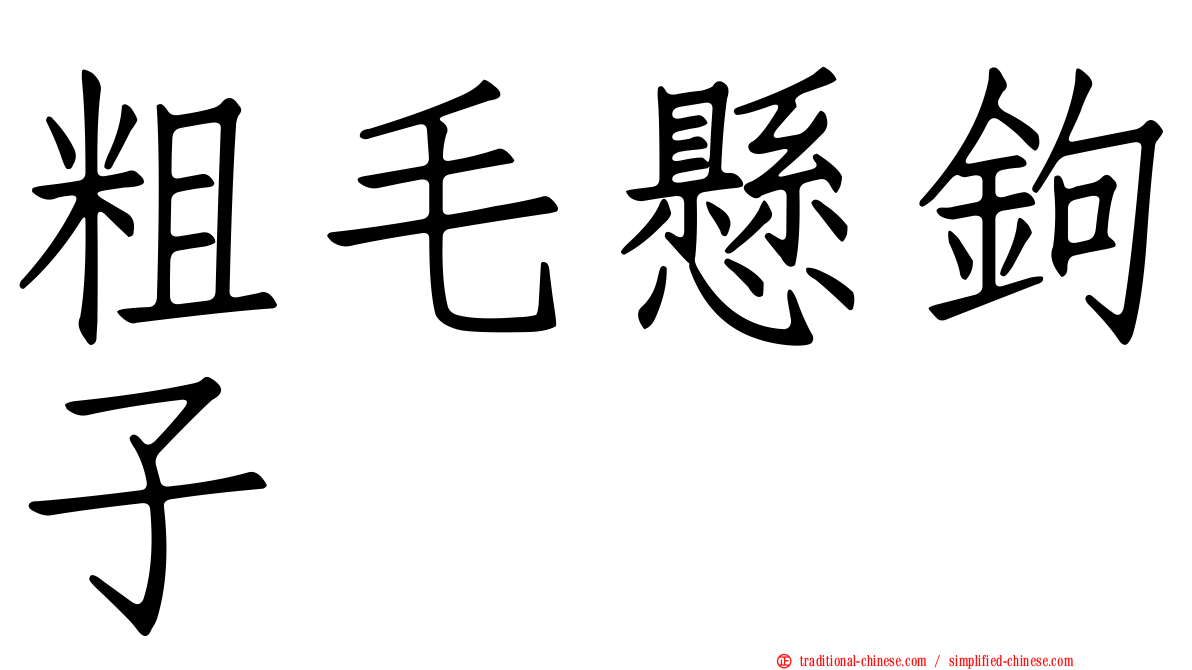 粗毛懸鉤子