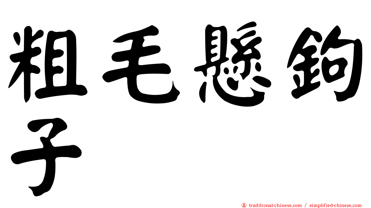 粗毛懸鉤子