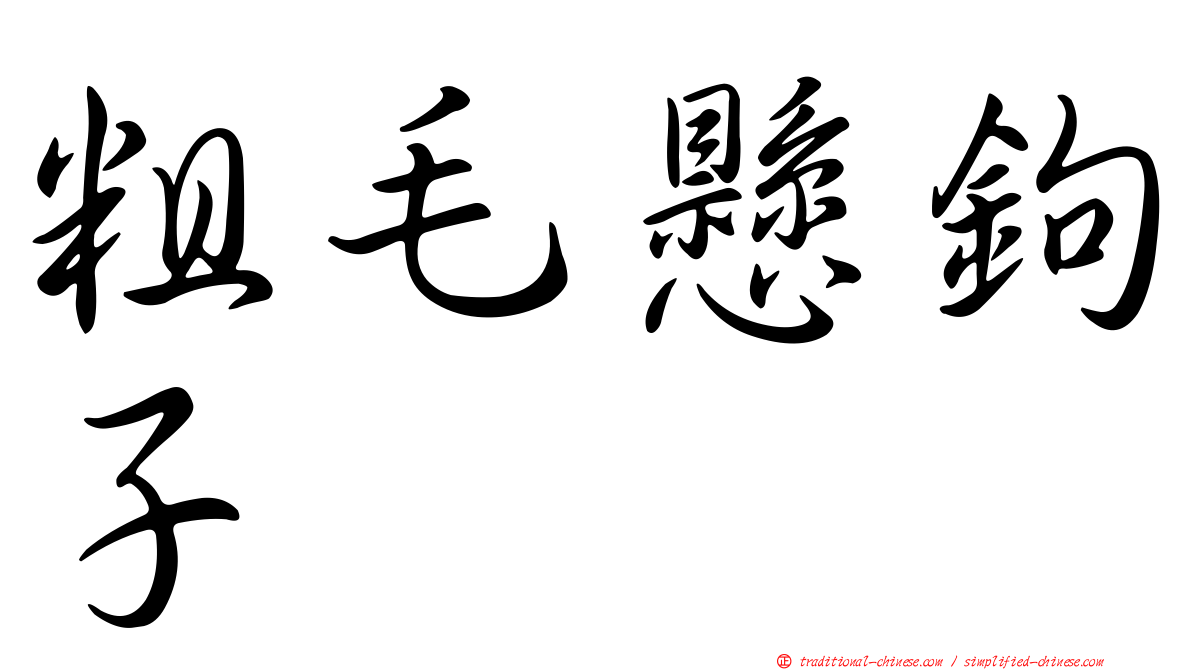 粗毛懸鉤子