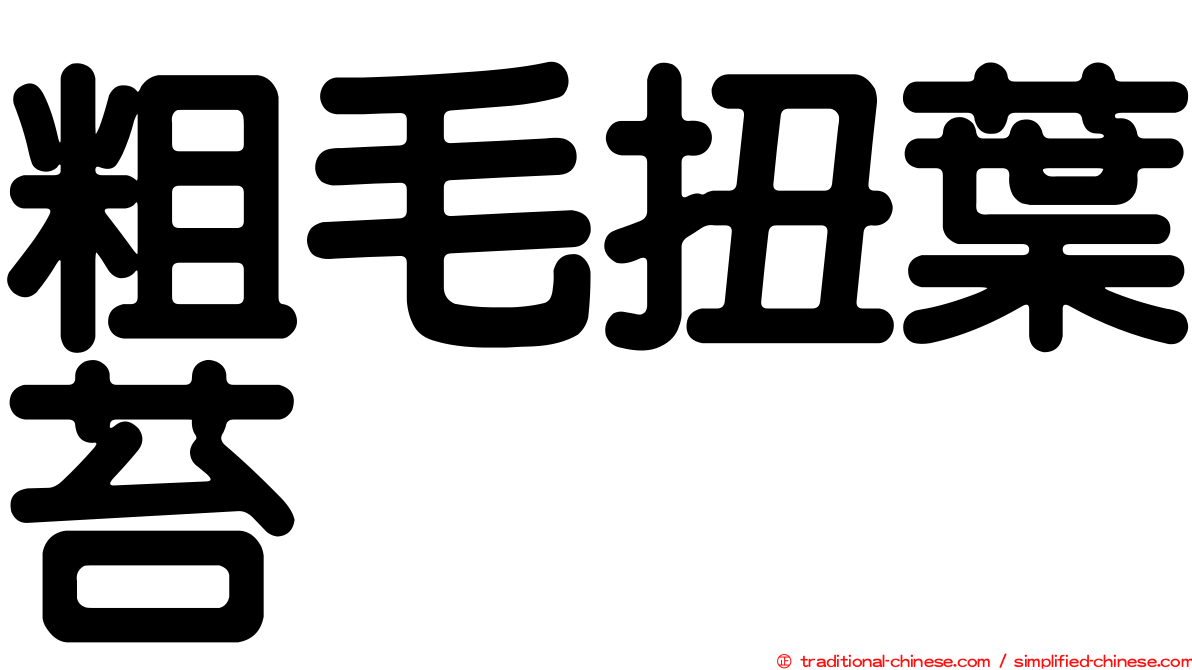 粗毛扭葉苔