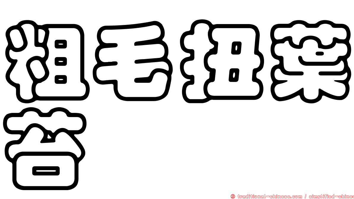 粗毛扭葉苔