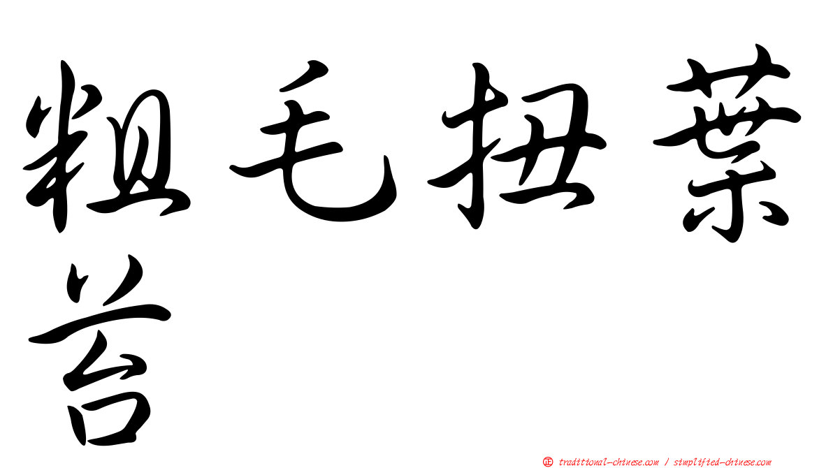 粗毛扭葉苔