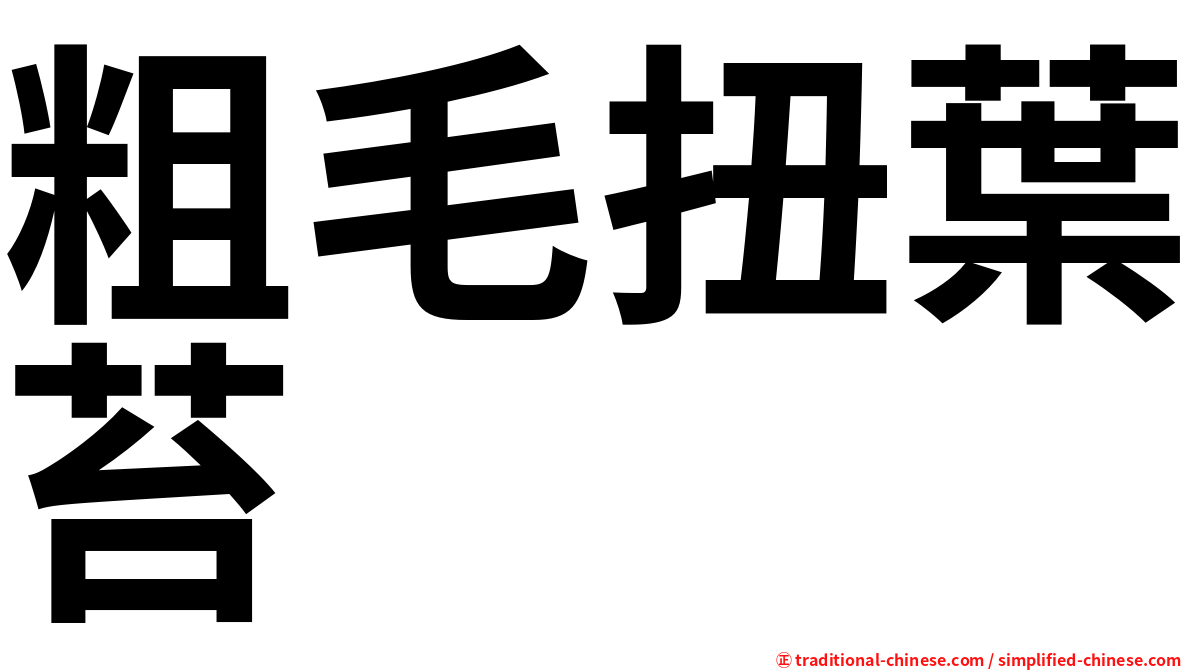 粗毛扭葉苔