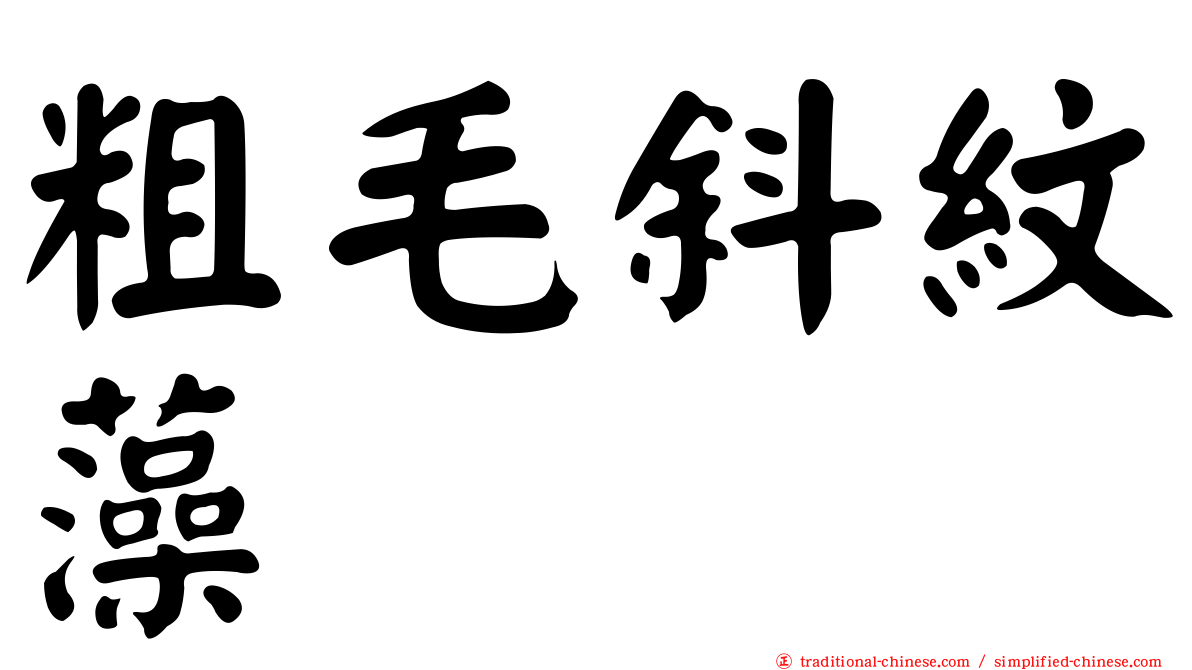 粗毛斜紋藻