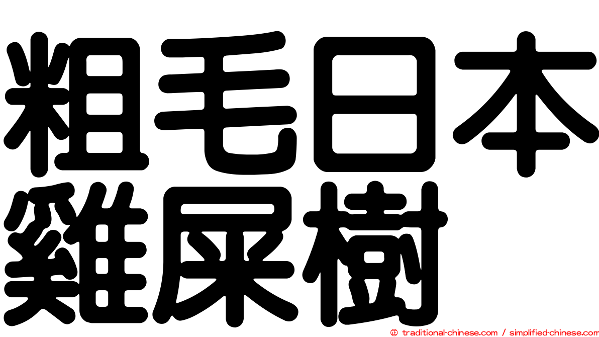 粗毛日本雞屎樹