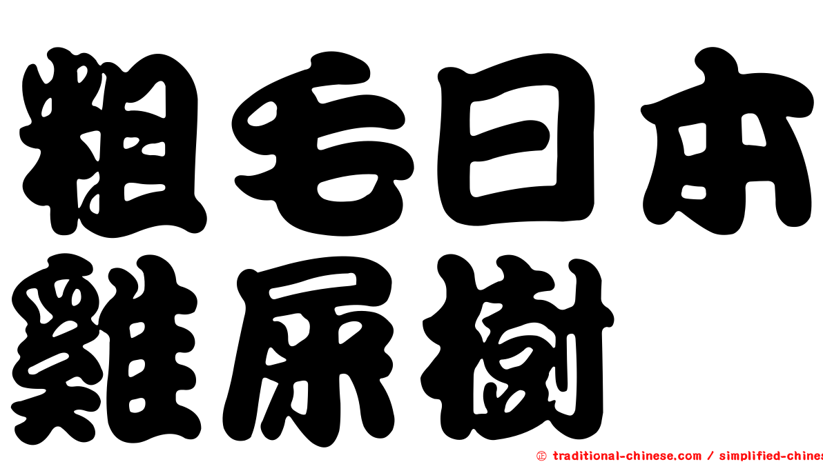 粗毛日本雞屎樹