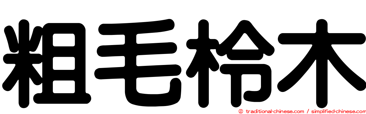 粗毛柃木