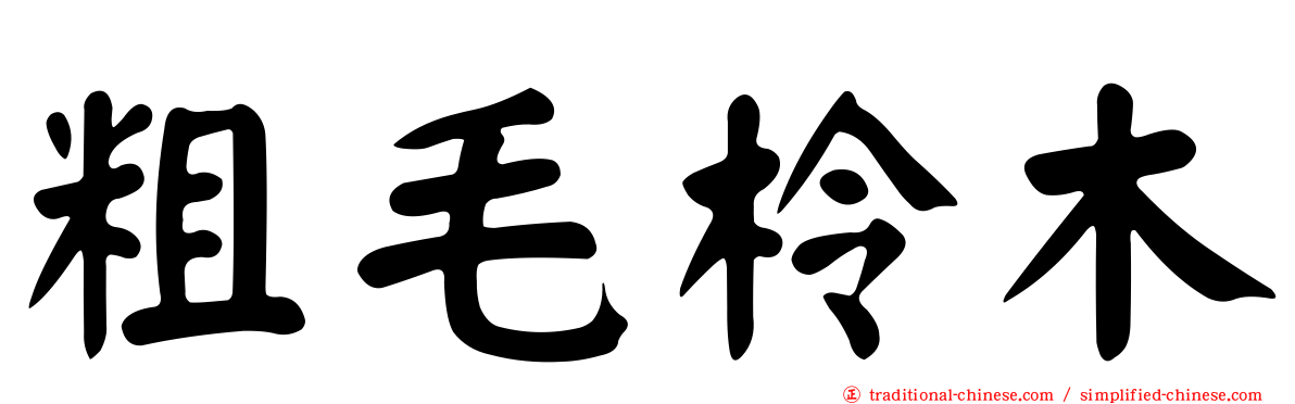 粗毛柃木