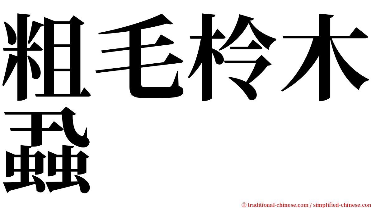 粗毛柃木蝨 serif font