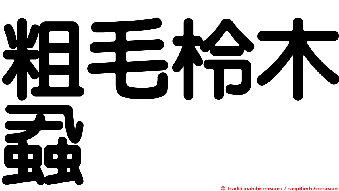 粗毛柃木蝨