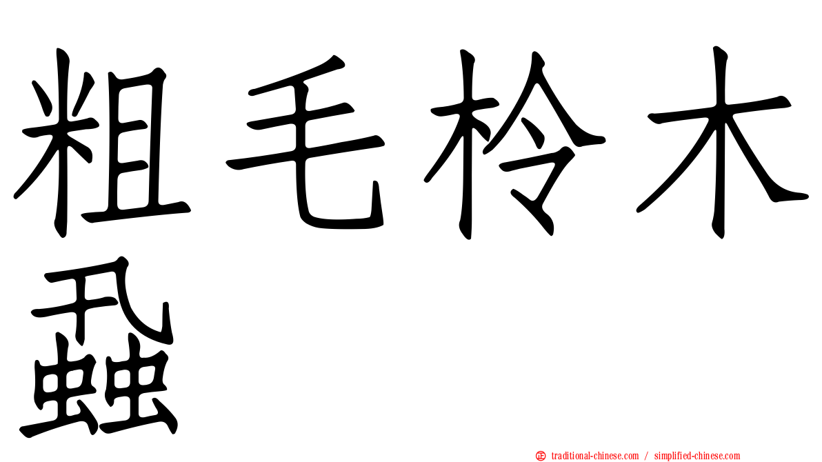 粗毛柃木蝨