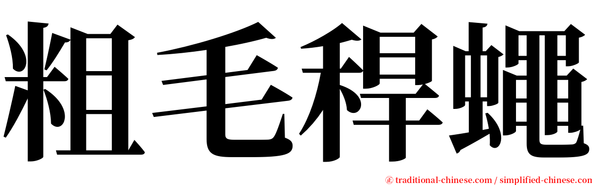 粗毛稈蠅 serif font