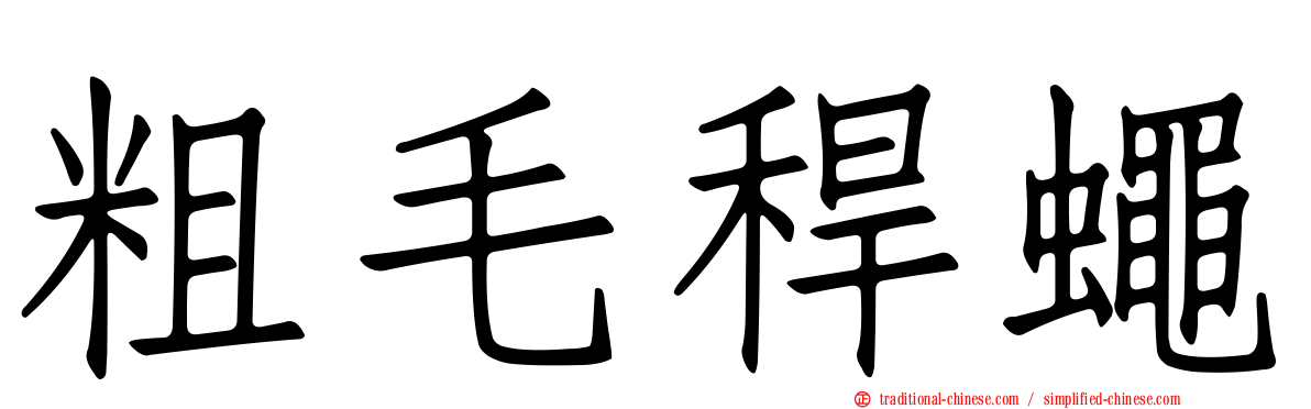 粗毛稈蠅