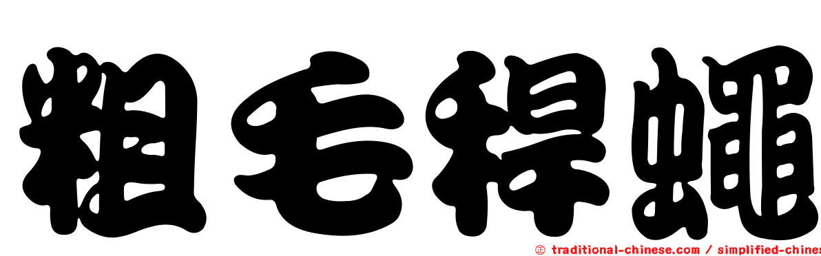 粗毛稈蠅