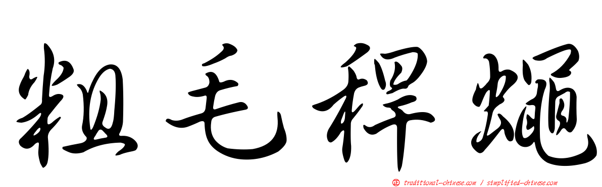 粗毛稈蠅