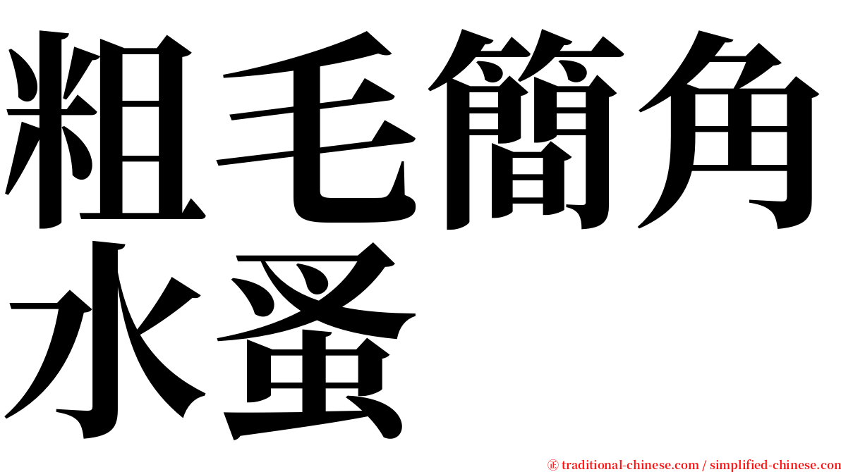 粗毛簡角水蚤 serif font