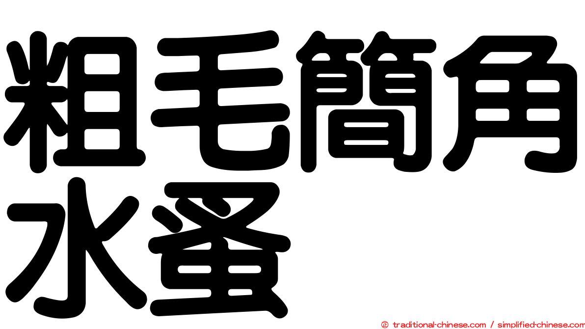 粗毛簡角水蚤