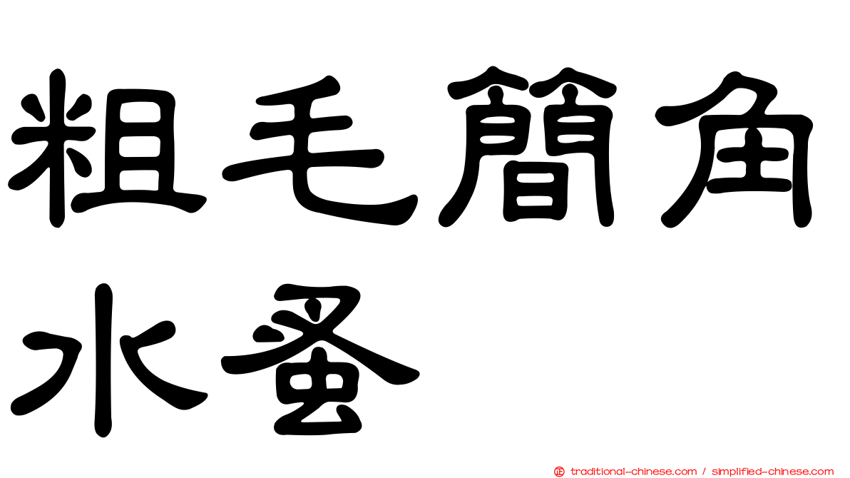 粗毛簡角水蚤