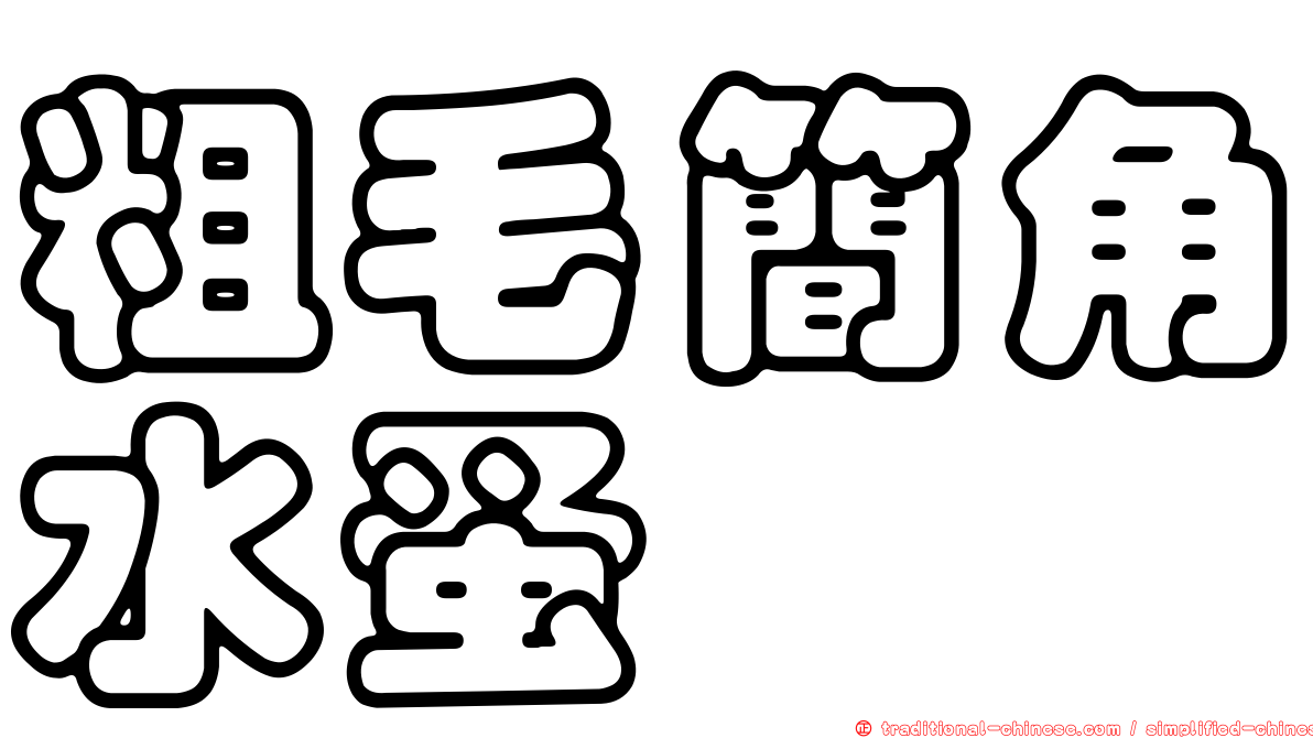 粗毛簡角水蚤