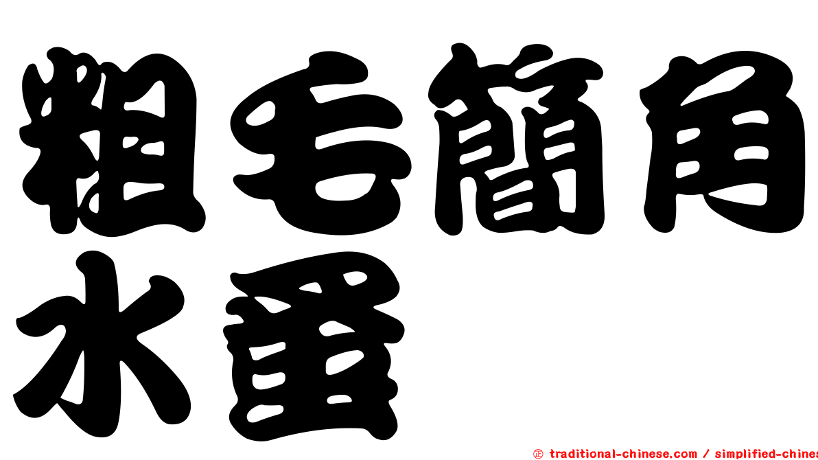 粗毛簡角水蚤