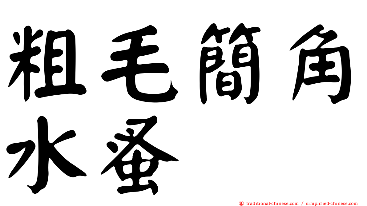 粗毛簡角水蚤