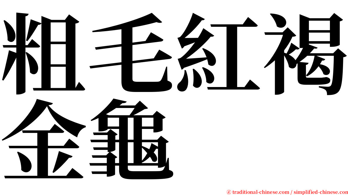 粗毛紅褐金龜 serif font