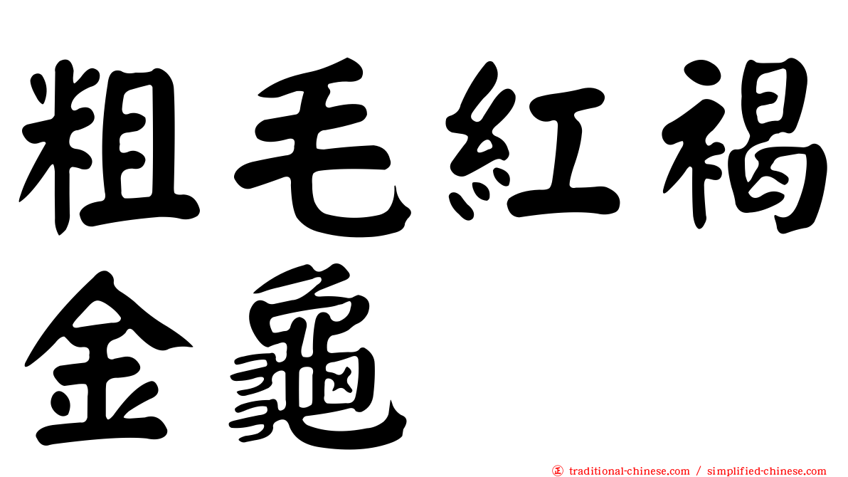 粗毛紅褐金龜
