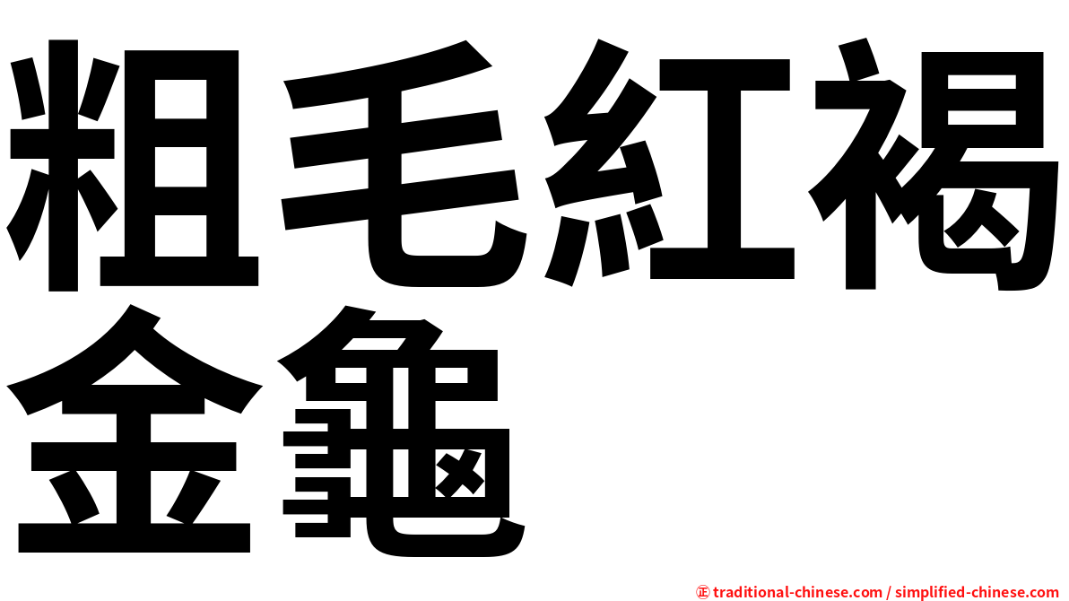 粗毛紅褐金龜