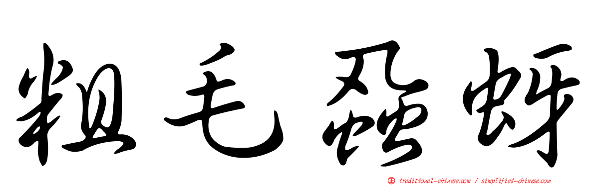 粗毛蝨蚜