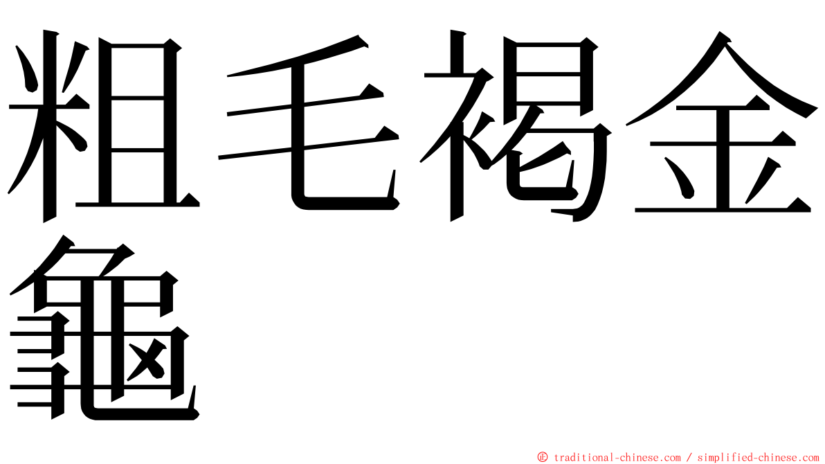 粗毛褐金龜 ming font