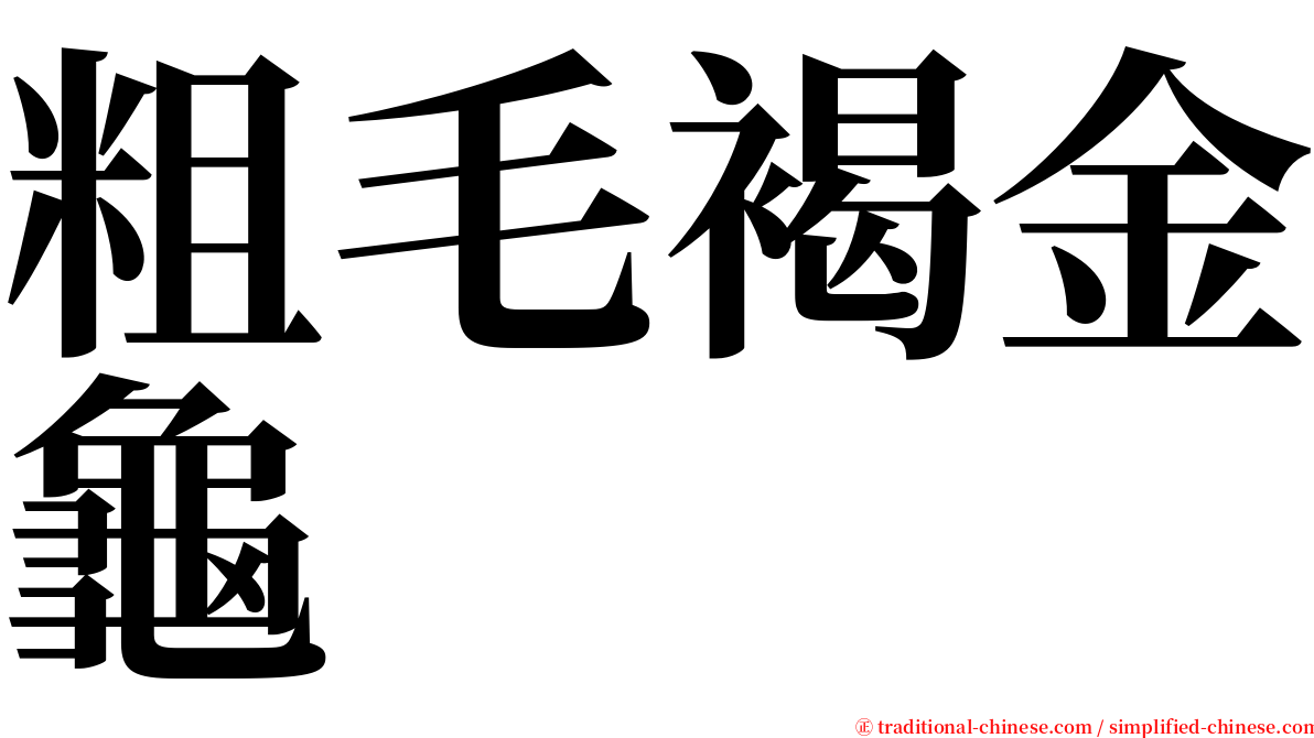 粗毛褐金龜 serif font