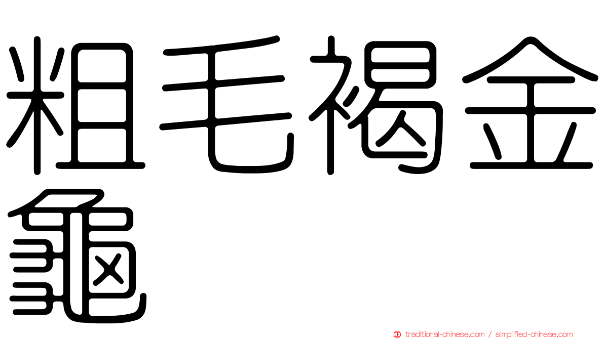 粗毛褐金龜