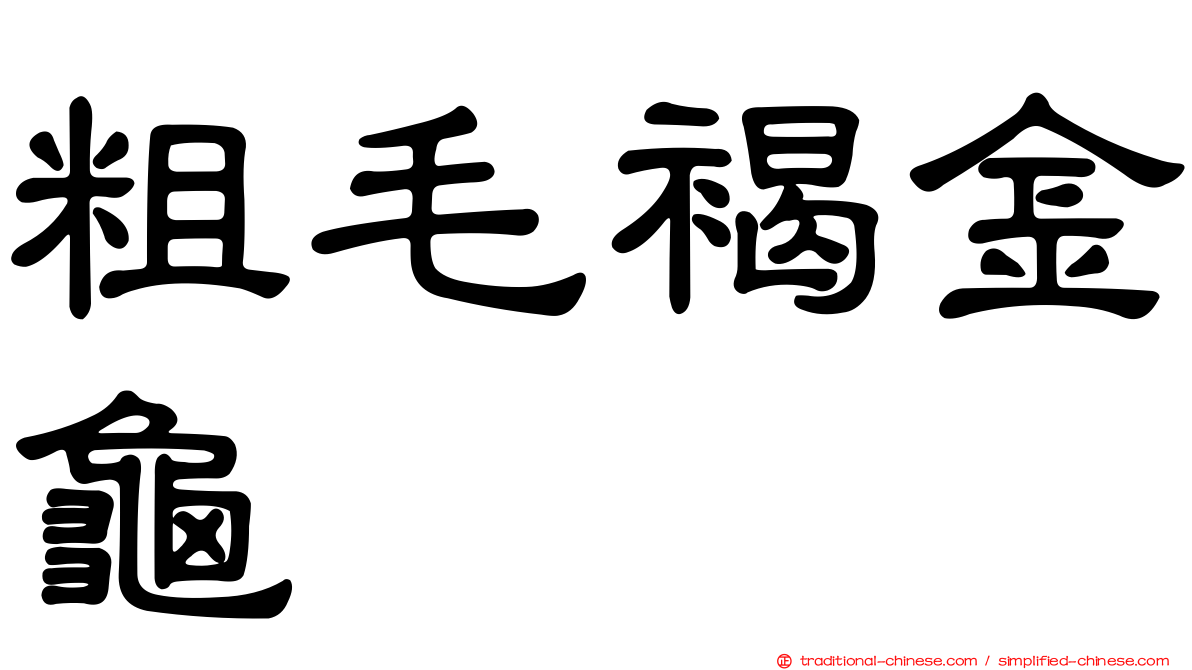 粗毛褐金龜