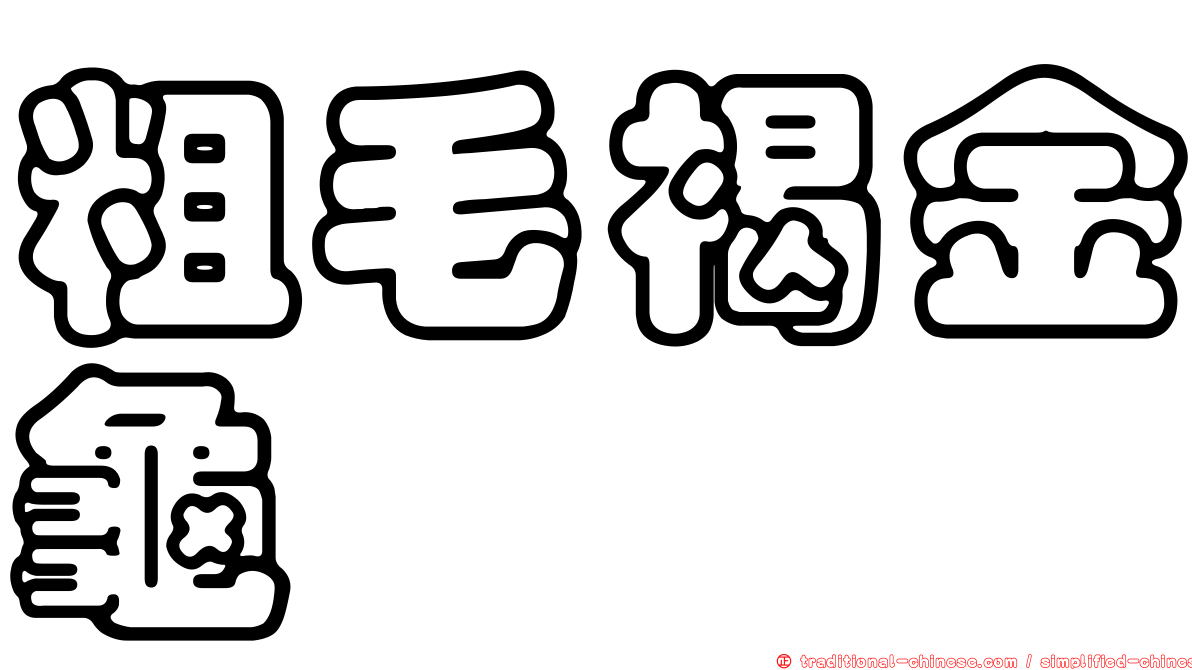 粗毛褐金龜