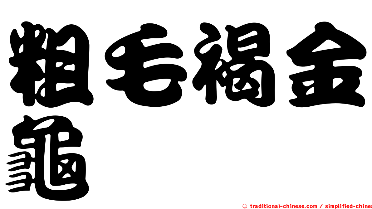 粗毛褐金龜