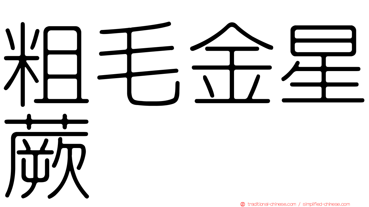 粗毛金星蕨