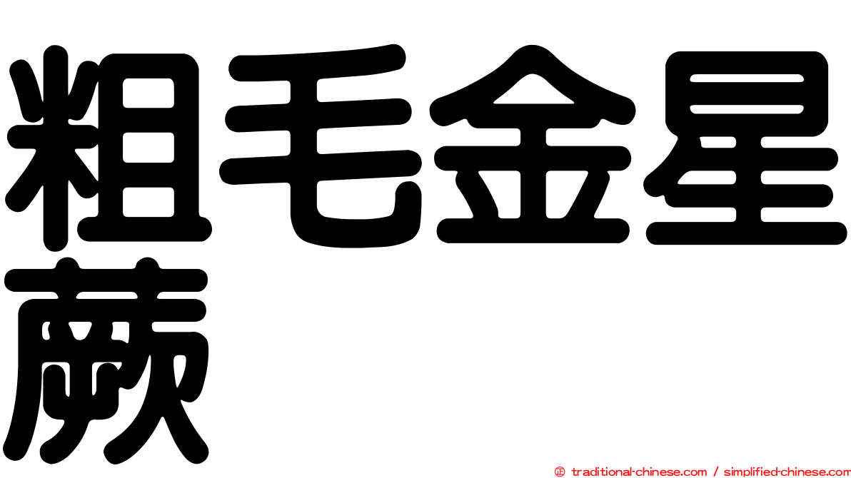 粗毛金星蕨