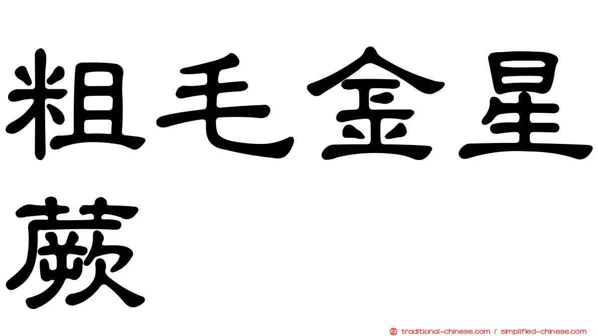 粗毛金星蕨