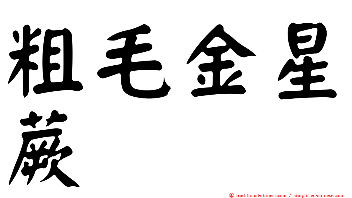 粗毛金星蕨