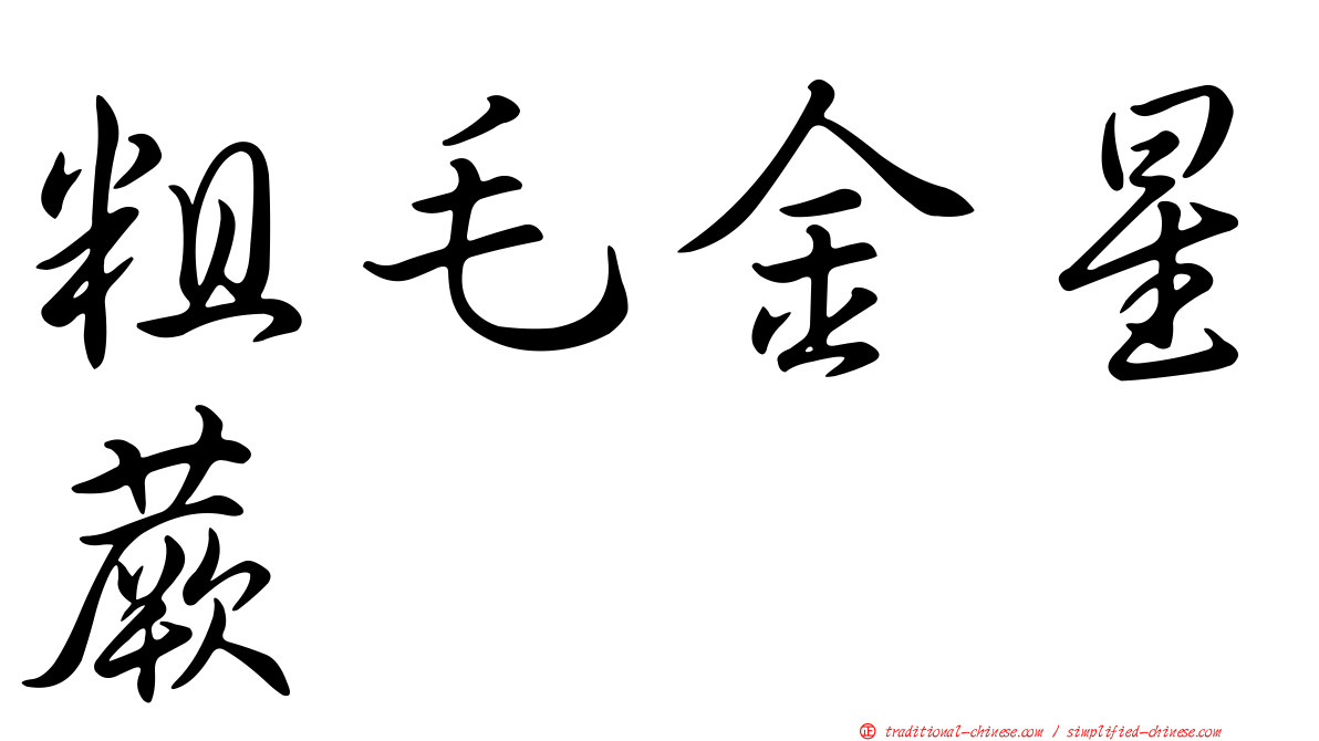 粗毛金星蕨