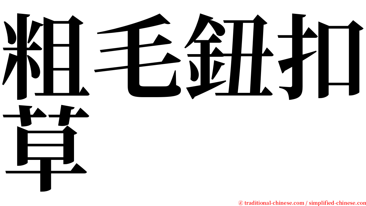 粗毛鈕扣草 serif font