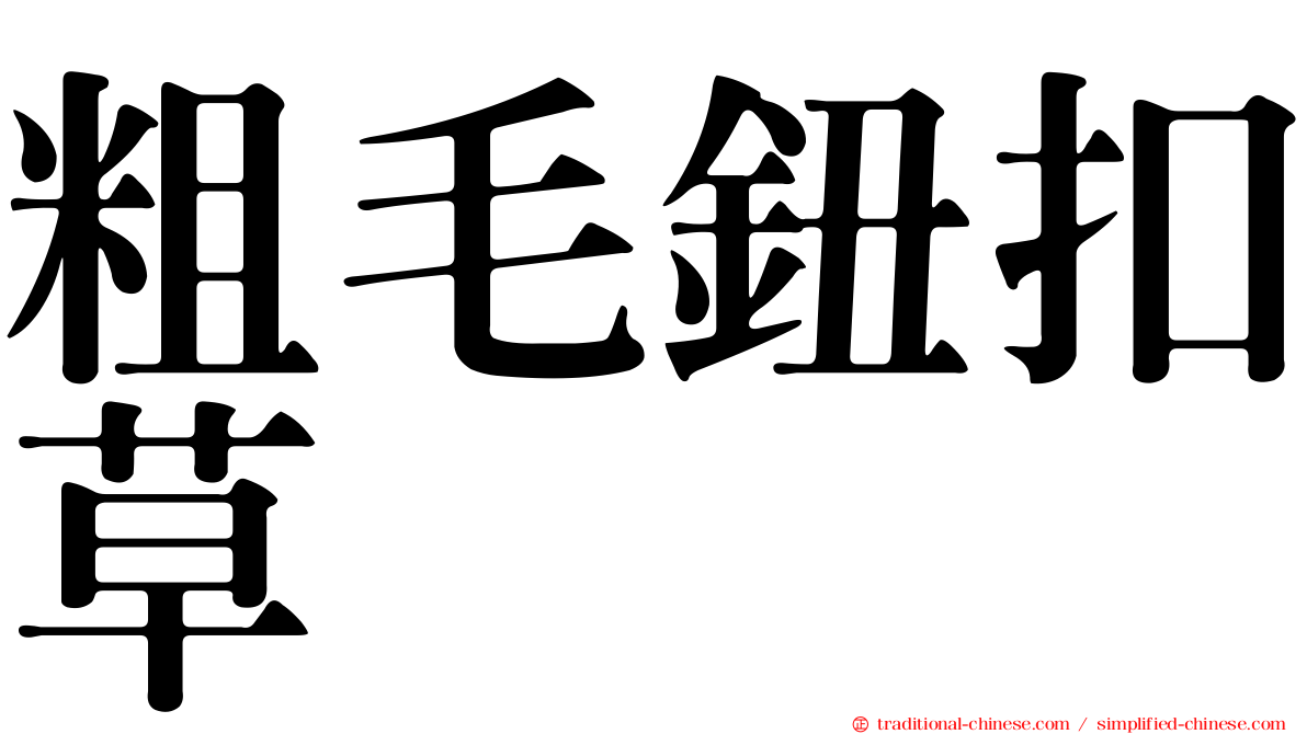 粗毛鈕扣草