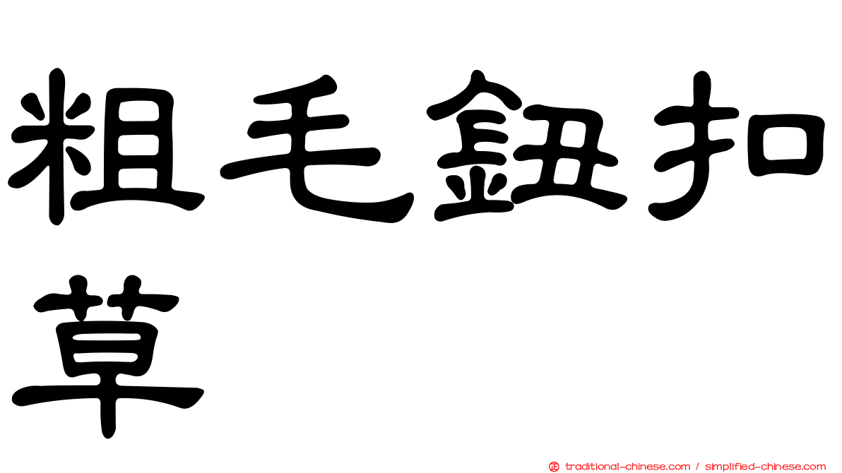 粗毛鈕扣草