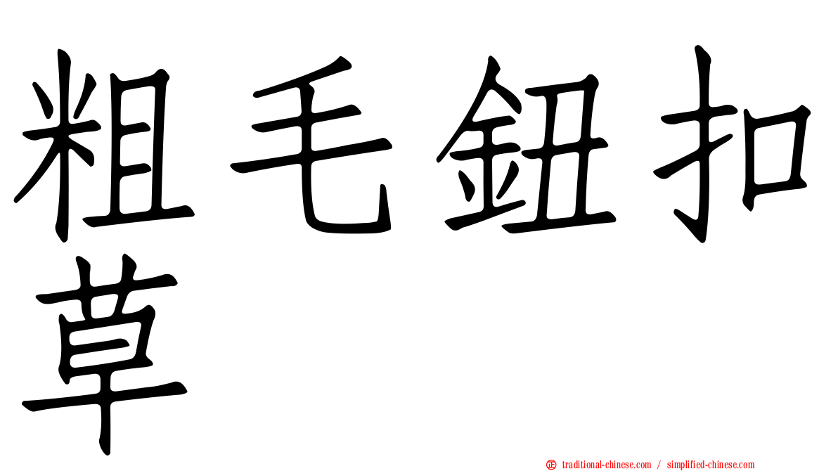 粗毛鈕扣草